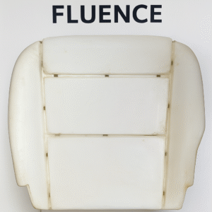 FLUENCE
